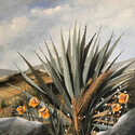 Desert Succulents  -  18” x 24”   Acrylic on canvas